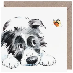 Collie & Butterfly Square Greetings Card>Paper Shed Designs Flash Sale