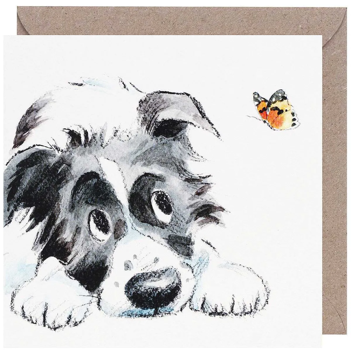 Collie & Butterfly Square Greetings Card>Paper Shed Designs Flash Sale