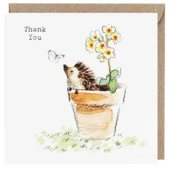 Hedgehog In Flower Pot 'Thank You' Pack Of 5 Notecards>Paper Shed Designs Cheap