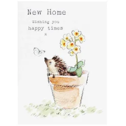 Hedgehog In Flowerpot 'New Home' Greetings Card>Paper Shed Designs Shop