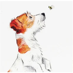 Jack Russell & Bee Square Greetings Card>Paper Shed Designs Online