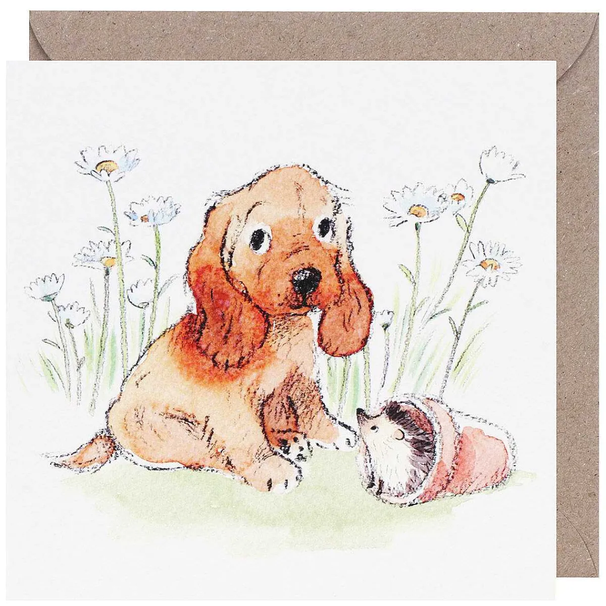 Puppy & Hedgehog Square Greetings Card>Paper Shed Designs Cheap