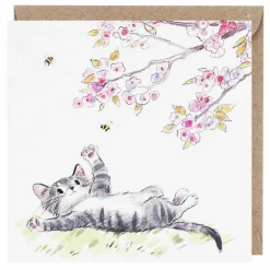 Tabby Cat With Cherry Blossom Pack Of 5 Notecards>Paper Shed Designs Outlet