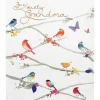 Delphine Colourful Birds Grandma Birthday Card>Paperlink Cheap