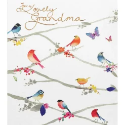 Delphine Colourful Birds Grandma Birthday Card>Paperlink Cheap