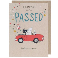 Pick 'N' Mix 'Hurrah You'Ve Passed' Driving Test Congratulations Card>Paperlink Clearance