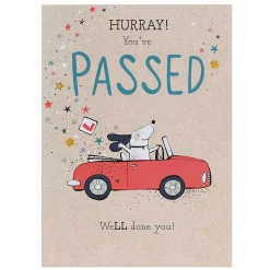 Pick 'N' Mix 'Hurrah You'Ve Passed' Driving Test Congratulations Card><noscript><img width=