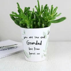 Personalised Plant Pot>Temptation Gifts Online