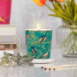Chelsea Green Mandarin, Tuberose And Wild Musk 260G Candle><noscript><img width=