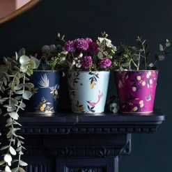 Orchard Set Of Three Plant Pots>Sara Miller Cheap