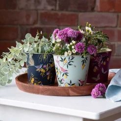 Orchard Set Of Three Plant Pots>Sara Miller Cheap