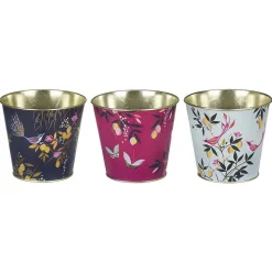 Orchard Set Of Three Plant Pots><noscript><img width=
