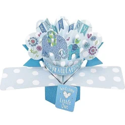 'Baby Boy' Pop Up Card>Second Nature Shop