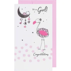 'Baby Girl' Flamingo & Baby New Baby Card>Second Nature Cheap