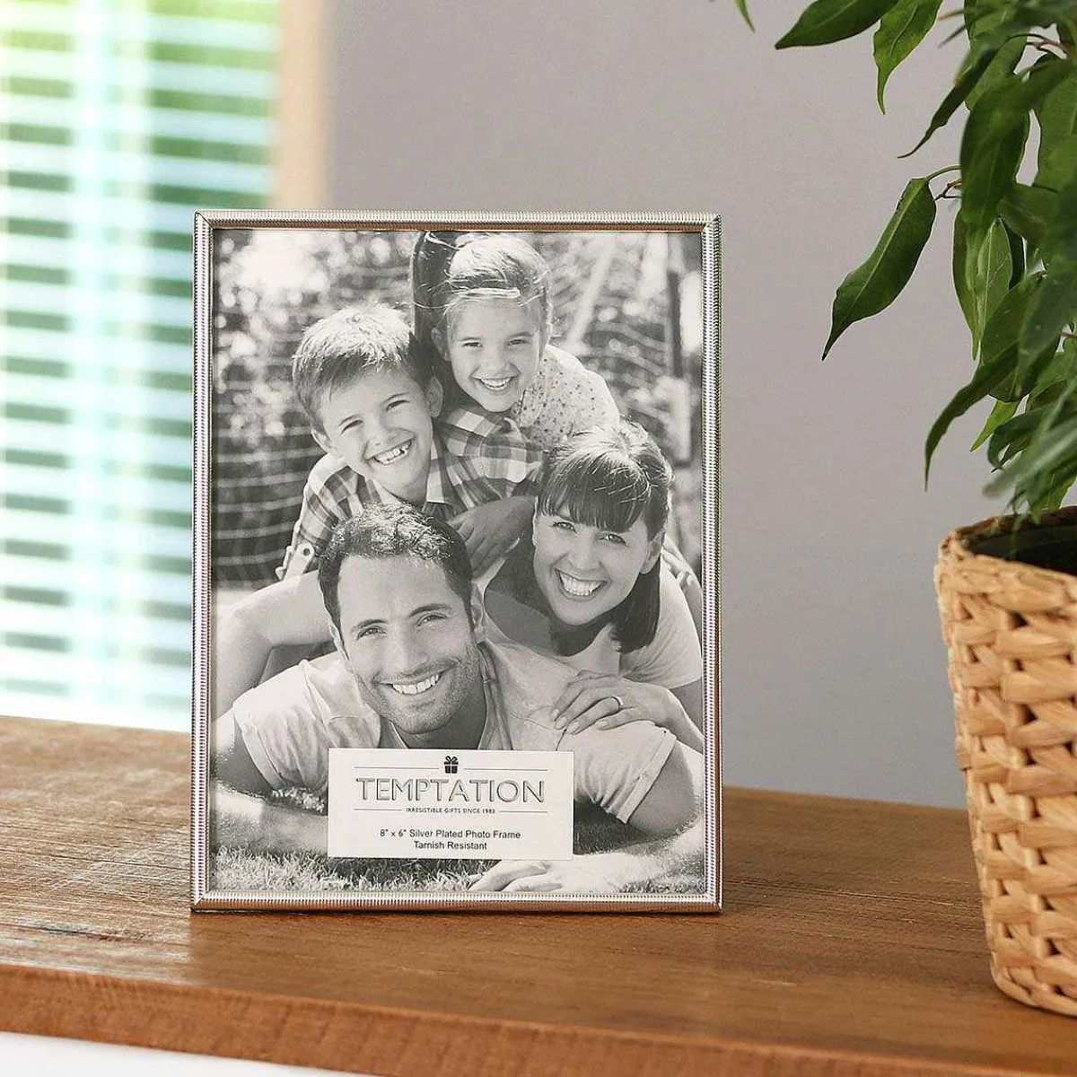 Silver-Plated Narrow Ribbed Edge Frame 6X8>Temptation Store