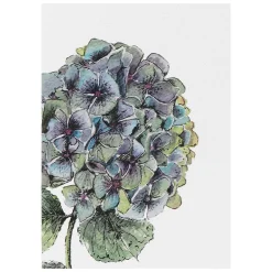 'Blooming Marvellous' Notecards Mixed Set Of 8><noscript><img width=