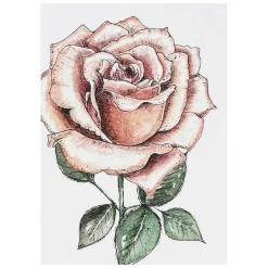 'Blooming Marvellous' Notecards Mixed Set Of 8><noscript><img width=