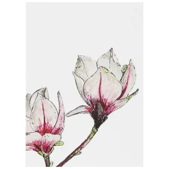 'Blooming Marvellous' Notecards Mixed Set Of 8><noscript><img width=