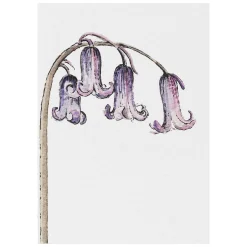 'Blooming Marvellous' Notecards Mixed Set Of 8><noscript><img width=