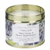 Earl Grey & Sweet Hydrangea Tin Candle>Toasted Crumpet Online