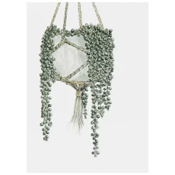 'Greenery' Notecards Mixed Set Of 8>Toasted Crumpet Store