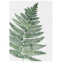 'Greenery' Notecards Mixed Set Of 8><noscript><img width=