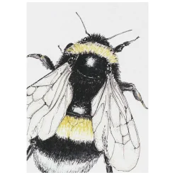 'spring To Summer' Notecards Mixed Set Of 8><noscript><img width=