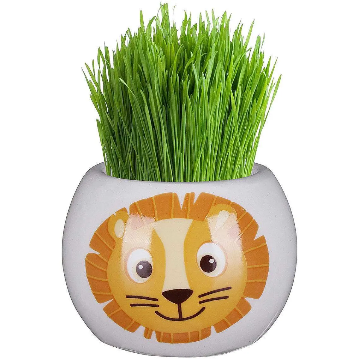 Assorted Boutique Garden Jungle Adventure Collection Grass Hair Kit>Widdop & Co Discount
