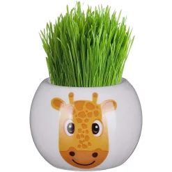 Assorted Boutique Garden Jungle Adventure Collection Grass Hair Kit><noscript><img width=