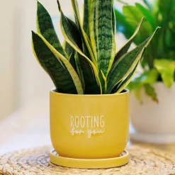 Country Living Rooting For You Ceramic Plant Pot><noscript><img width=