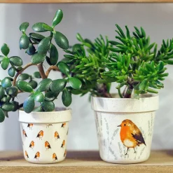 Country Living Robin Set Of Two Ceramic Planters><noscript><img width=