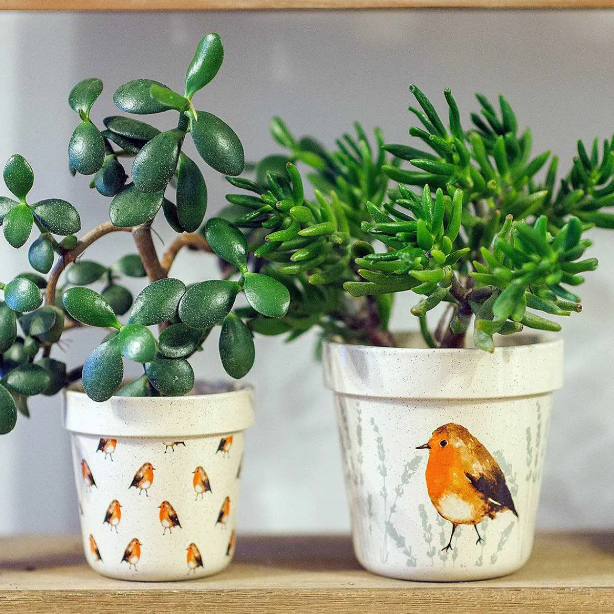 Country Living Robin Set Of Two Ceramic Planters>Widdop & Co Discount