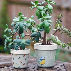 Country Living 'Blooming Lovely' Garden Birds Set Of Two Ceramic Planters><noscript><img width=