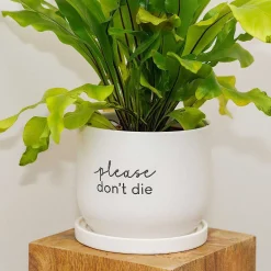 Country Living Please Don'T Die Ceramic Plant Pot><noscript><img width=
