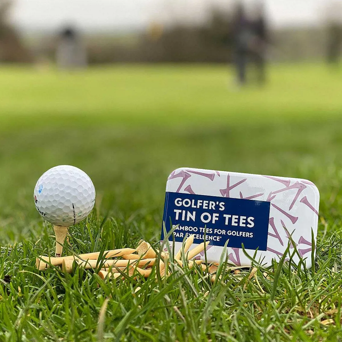 Gifts For Grown Ups Golfer's Tees Tin>Widdop & Co New