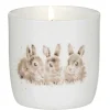 'Daisy Chain' Fragranced Jar Candle>Wrendale Best Sale