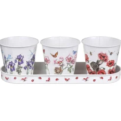 Floral Herb Pots And Tray><noscript><img width=
