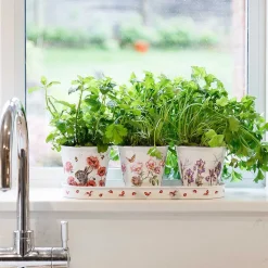 Floral Herb Pots And Tray><noscript><img width=