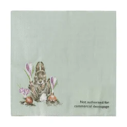 Head Clover Heels Rabbit Set Of 20 Cocktail Napkins>Wrendale Sale