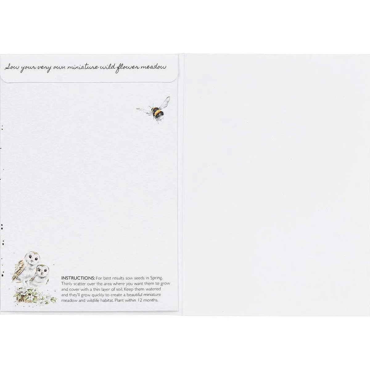 'Hooting For You' Owl Seed Card>Wrendale Sale