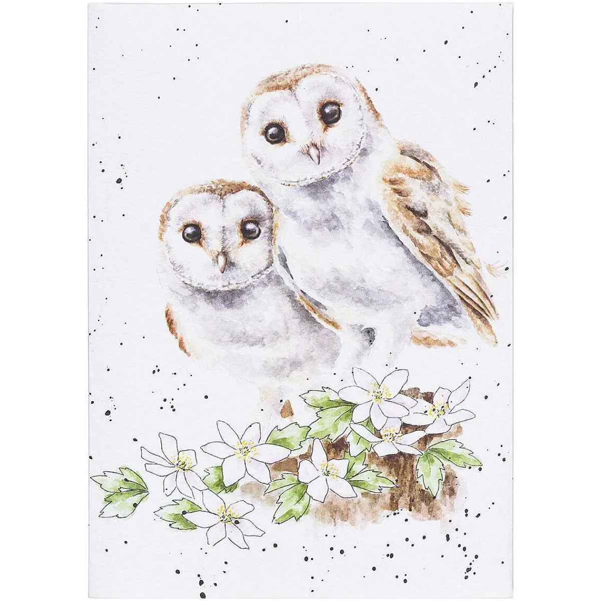 'Hooting For You' Owl Seed Card>Wrendale Sale