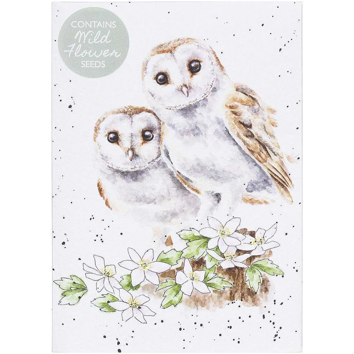 'Hooting For You' Owl Seed Card>Wrendale Sale