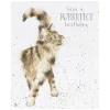 'Just Purrrfect' Cat Birthday Card>Wrendale Best Sale