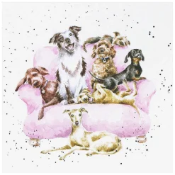 'Movie Night' Dogs Greetings Card>Wrendale Clearance