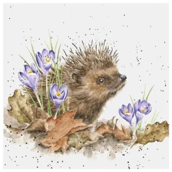 'New Beginnings' Hedgehog Greetings Card>Wrendale Discount
