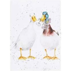 'Not A Daisy Goes By' Duck Seed Card>Wrendale Store