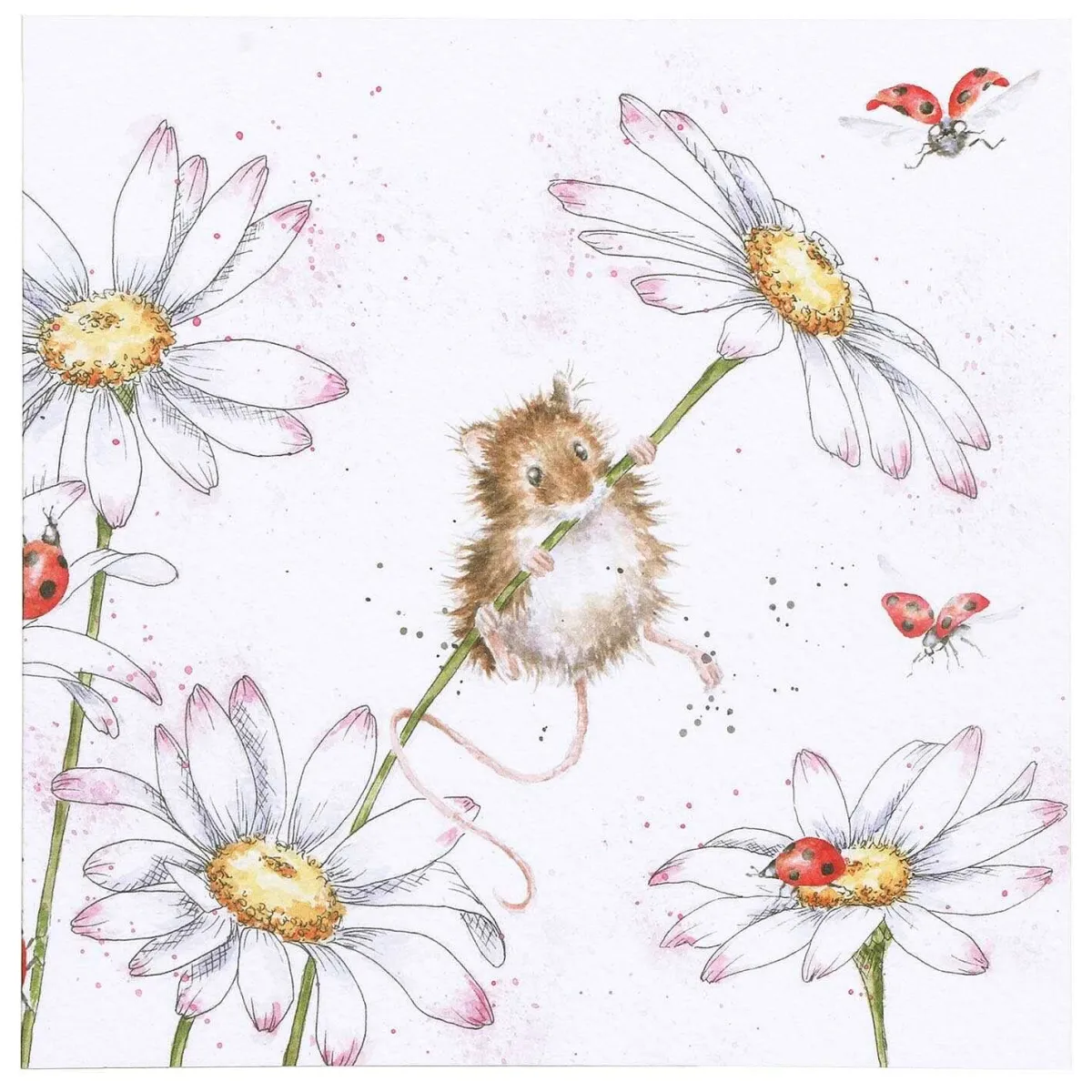 'Oops A Daisy' Mouse Greetings Card>Wrendale Shop