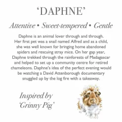 Plush Daphne Guinea Pig>Wrendale Best