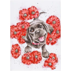 'Poppy Love' Dog Seed Card>Wrendale Outlet