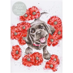 'Poppy Love' Dog Seed Card><noscript><img width=